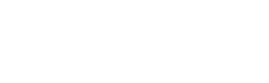 BPI France